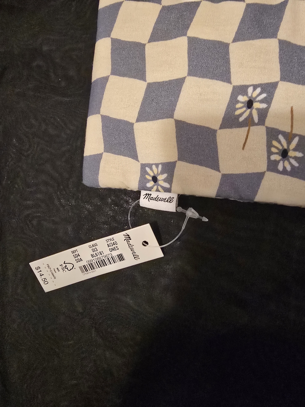 Madewell Blue and White Checkered Glasses Case - Picture 2 of 3